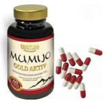 Mumio Gold Aktiv 60 kapslí – Hledejceny.cz