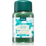 Kneipp sůl do koupele Goodbye Stress 500 g – Zboží Mobilmania