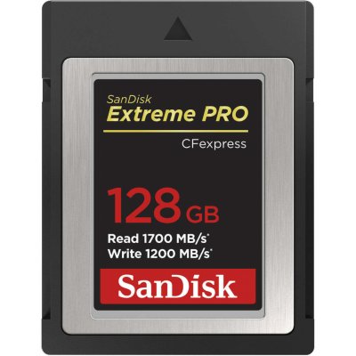 SanDisk 128 GB SDCFE-128G-GN4NN – Zboží Živě