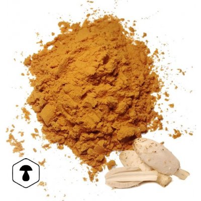 LifeChi Hnojník obecný Coprinus comatus extrakt v prášku 50 g – Hledejceny.cz