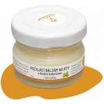 Betula pendula Pečující balzám na rty s kozím kolostrem smetana 30 ml – Zboží Dáma