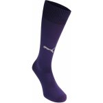 Puma Team Football Socks – Zboží Dáma