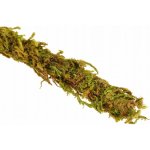 Repti Zoo liana s přírodním mechem 1 cm x 2 m – Zboží Dáma