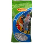 Avicentra Slunečnice žíhaná 25 kg – Zbozi.Blesk.cz