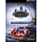 Pillars of Eternity: The White March Expansion Pass – Hledejceny.cz