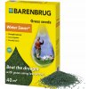 Osivo a semínko Zahradní tráva Barenbrug 40 m² 1 kg