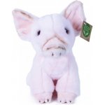 Eco-Friendly Rappa prase 18 cm – Sleviste.cz