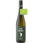 Taubenschuss Grüner Veltliner Ried Bürsting suché bílé 2024 13% 0,75 l (holá láhev) – Hledejceny.cz