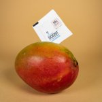 Integra Boost Terpene Essentials Myrcen 4g, 62%, 1 ks – Zboží Dáma Integra Boost Terpene Essentials Myrcen 4g, 62%, 1 ks – Zboží Dáma