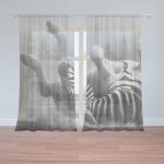 Sablio Záclony Válející se zebra: 2ks 150x250cm – Hledejceny.cz