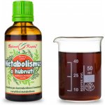 Bylinné kapky Pavlovy Metabolismus a hubnutí kapky tinktura 50 ml – Hledejceny.cz