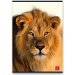 Pigna Školní sešit Animal A5 linkovaný – Hledejceny.cz