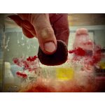 LK Baits Nutrigo Predator 400 ml 30 mm – Hledejceny.cz