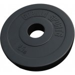 Gorilla Sports litina 2 x 1 kg 30/31 mm – Hledejceny.cz
