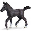 Schleich 13738 Hříbě Lipicána