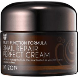 Mizon Snail Repair Perfect krém na Vrásky a Problematickou Pleť 50 ml