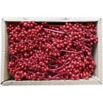 Canella Small Red 35 ks – Hledejceny.cz