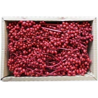Canella Small Red 35 ks – Hledejceny.cz