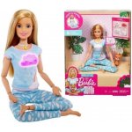 Barbie JOGÍNKA herní set – Zboží Dáma Barbie JOGÍNKA herní set – Zboží Dáma