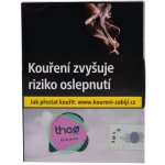 Theo GUAJAVA 40 g – HobbyKompas.cz