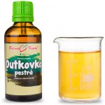 Bylinné kapky Acai Berry kapky tinktura 50 ml – Hledejceny.cz