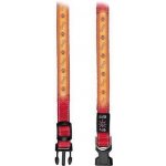 Trixie obojek Svítící pro psa USB – Zboží Mobilmania