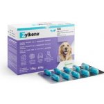 Vetoquinol Zylkene 450 mg pro velké psy 15-60 kg 100 kapslí – Hledejceny.cz