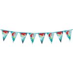 Procos Girlanda vlaječková Frozen 230 cm – Zbozi.Blesk.cz