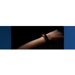 Xiaomi Mi Band 3 – Zboží Živě