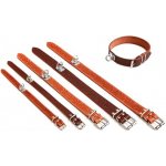 BafPet obojek barvářský – Zboží Dáma