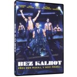 Bez kalhot DVD – Hledejceny.cz