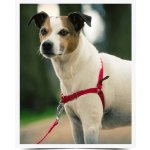 PetSafe Postroj EasyWalk – Zboží Dáma PetSafe Postroj EasyWalk – Zboží Dáma