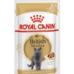 Royal Canin British Shorthair Gravy 85 g – Hledejceny.cz