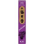Nippon Kodo japonské vonné tyčinky Morning Star Musk 50 ks – Zboží Dáma