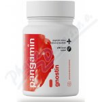 Pangamin Gnostin 200 tablet – Hledejceny.cz