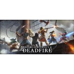 Pillars of Eternity 2: Deadfire – Hledejceny.cz