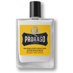 Proraso Wood and Spice balzám po holení 100 ml – Zboží Dáma