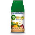 Air Wick Freshmatic Náplň do osvěžovače vzduchu středomořské slunce 250 ml – Zboží Dáma