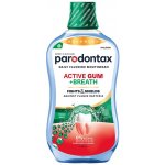 Parodontax Active Gum & Breath 500 ml – Hledejceny.cz