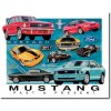 Plakát Plechová cedule Ford Mustang Chronology 32 cm x 40 cm