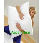 Brotex SET Aloe Vera UNICO 140x200 celoroční 850g 70x90 900g – Hledejceny.cz