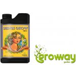 Advanced Nutrients pH Perfect Sensi Grow A+B 500 ml – Hledejceny.cz