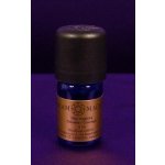 Arammagnus Olej magický Odvaha Courage 5 ml – Hledejceny.cz