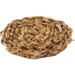 Toro PODTÁCEK KULATÝ 10cm MOŘSKÁ TRÁVA – Zboží Dáma