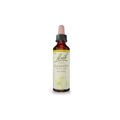 Nelsons Clematis bílá lesní réva 20 ml – Hledejceny.cz