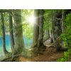 Tapety WEBLUX 32267229 Fototapeta plátno Sonnenschein im Wald neben klarem See Sonnenschein im Wald neben klarem Podívejte se rozměry 330 x 244 cm