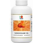 DXN Ganocelium GL 360 kapslí – Hledejceny.cz