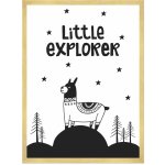 Dětský plakát Little explorer 40X50 cm + zlatý rám