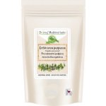 Dromy Echinacea nať řezanka 1 kg – Zboží Dáma