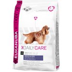 Eukanuba Daily Care Sensitive Skin 12 kg – Hledejceny.cz